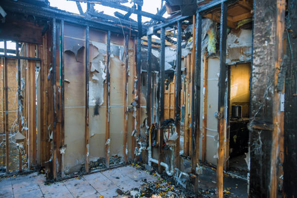 Professional Soot Cleanup technician working in Jackson, WI